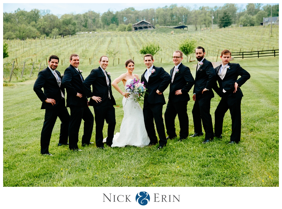 Donner_Photography_Bluemont Vineyard_Wedding_Stephanie_and_Chris_0027a
