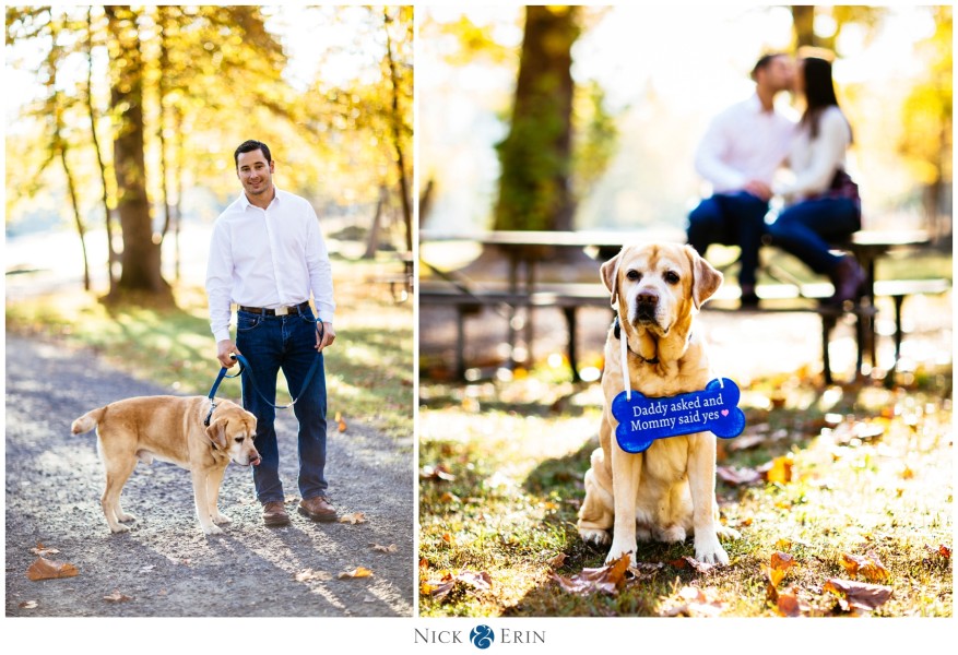 Donner_Photography_Great Fall Engagement_Samantha and Bill_0023