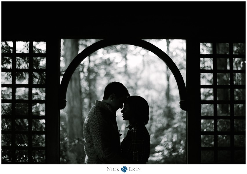 Donner_Photography_Washington DC Engagement_Candace and Max_0010a